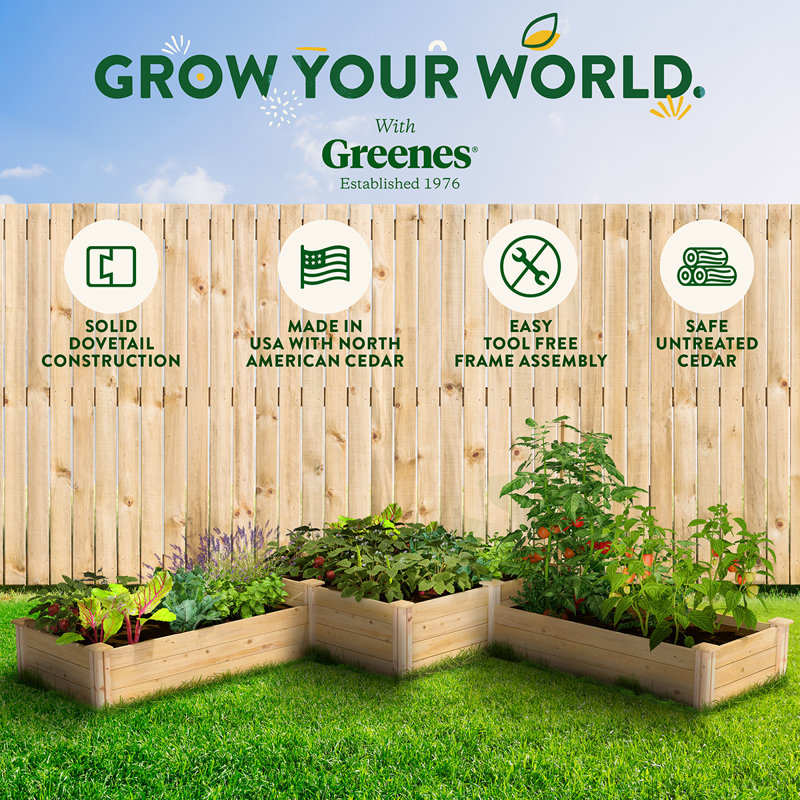 Outdoor Raised Garden Bed, 14" H x 48" W x 144" D