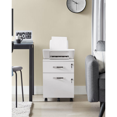 54.4cm Wide 2 -Drawer Mobile File Cabinet