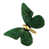 Laiton / patine verte