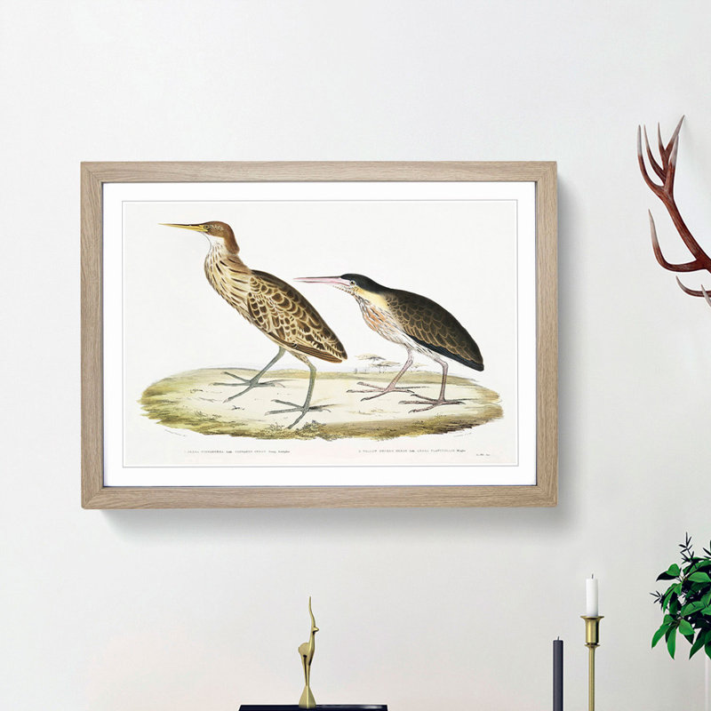 Two Herons by John Edward Gray - Framed Print, 48cm H x 65cm W x 2cm D, Oak Framed