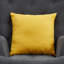 Nicolle Accent Chair with Footstool