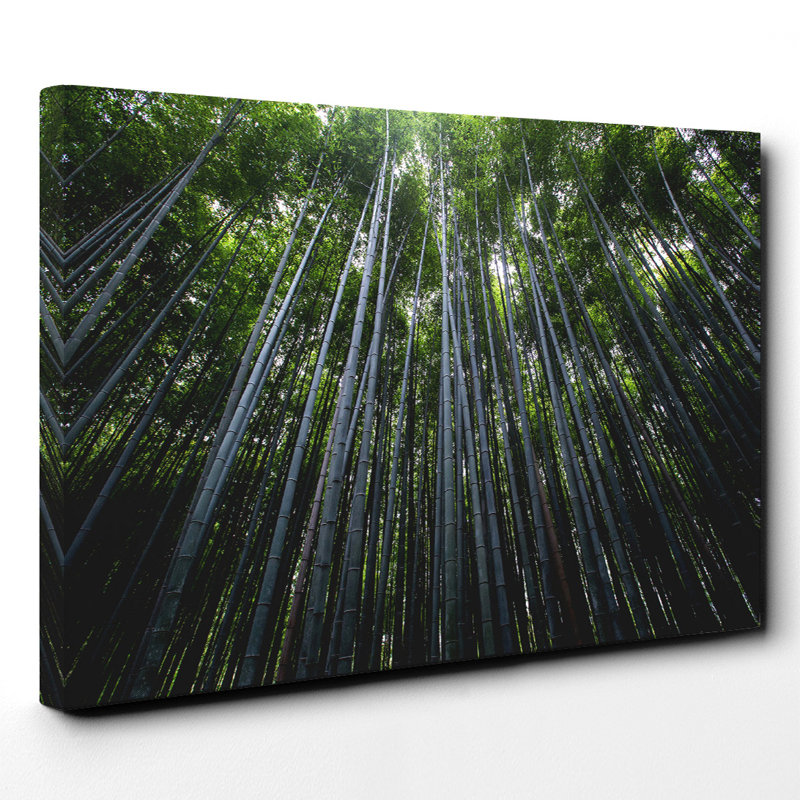 Wrapped Canvas Print, 50cm H x 76cm W
