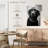 Brampt Black Labrador Boss-108245372