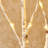 Lighted Birch Tree Branches