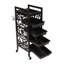 Chariot utilitaire à 5 niveaux avec roulettes H 35,43 po x l 14,57 po
