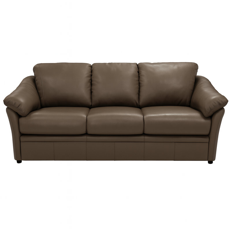 Ramdev Top Grain Leather Sofa Bed with Cushioned Back and Pillow Top Arm, Espresso