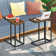 Auxter C Shaped End Table TV Tray Set