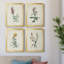 Traditional Botanical I - Ensemble de 4 peintures sur toile encadrées-1478529741-1478529740