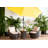 Alida Handmade Ceramic Pot Planter-2079321740-2079321737