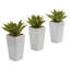 Plante agave artificielle 4 po en pot