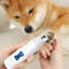 Ensemble de tondeuse électrique pour chien