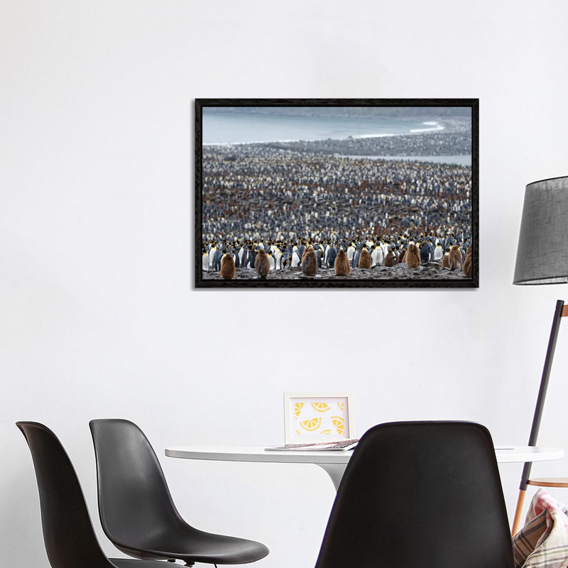 Many by Kahi - Floater Frame Print on Canvas, Black, 101.6 cm H x 66.04 cm W