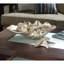 Med Clam Shell w/ Silver Shells