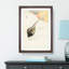 Pheasant Couple by Ohara Koson - Picture Frame Painting Print-55732058-55732063