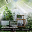 Greenhouse-121411340