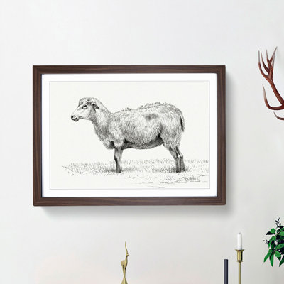 Standing Sheep by Jean Bernard - Picture Frame Art Print
