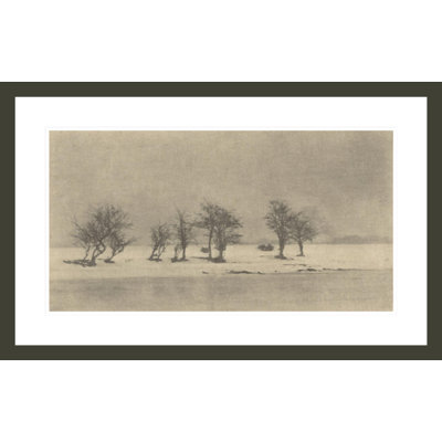 Gnarled-Thorn Trees by Peter Henry Emerson -Framed Giclee Print