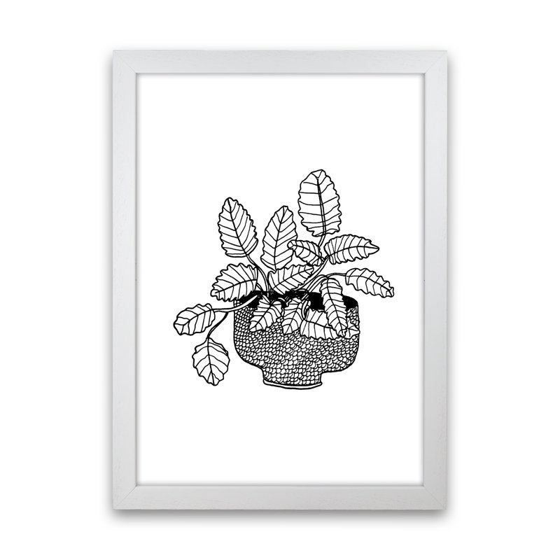 Peppermint by Carissa Tanton - Print, White Framed, 63cm H x 46cm W x 3cm D