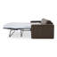 Kiran Sleeper Sofa-1777732502