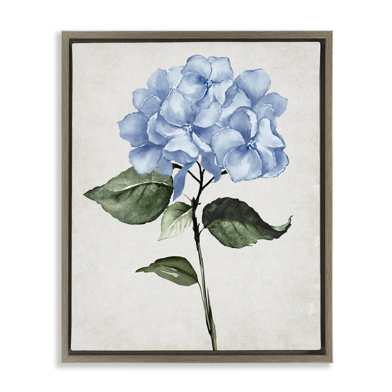 "Blue Hydrangea Stem", art mural Val Val, Cadre flottant orme Montalcino, H 21 po x l 17 po