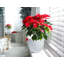 Pot à fleur Dorlis Fiberstone-881441130-881441128