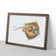 Common Stingray by Edward Donovan - Picture Frame Painting Print-55621067-55621068
