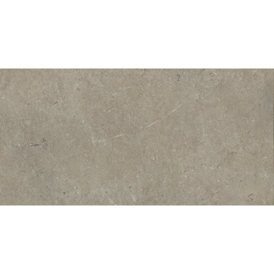 Daltile Courier 24 x 48 Colorbody Porcelain Paver Tile (1 PC Per Carton) (7.75 SQFT Per Carton)