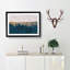 The Forest at Sunset - Picture Frame Painting Print-56712591-56712595