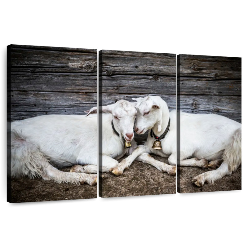 Brampt Goat Love, 28" H x 45" W