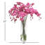 Orchid in Vase