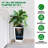 Set of 2 Planter Pots with Drainage Holes＆Water Level Monitor＆Inner Bucket, Automatic Watering-1045863398-1045863403