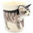 MUG128Tabby Cat Mug 10 Oz