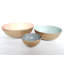 Shanitaortia Metal Decorative Bowl 3