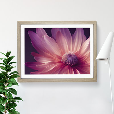 Cute Chrysanthemum Flower Vol.4 - Framed Print