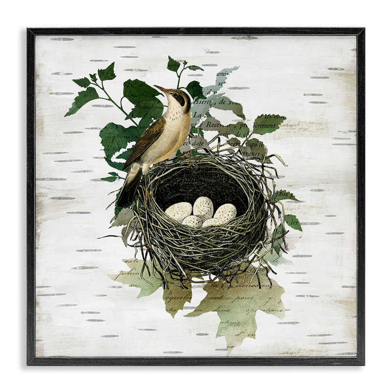 Nid d'oiseau rétro et giclée encadrée, design par Susan Arnot, Giclée encadrée noir minuit, H 12 po x l 12 po