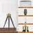 Jaiquez Metal Tripod Lamp