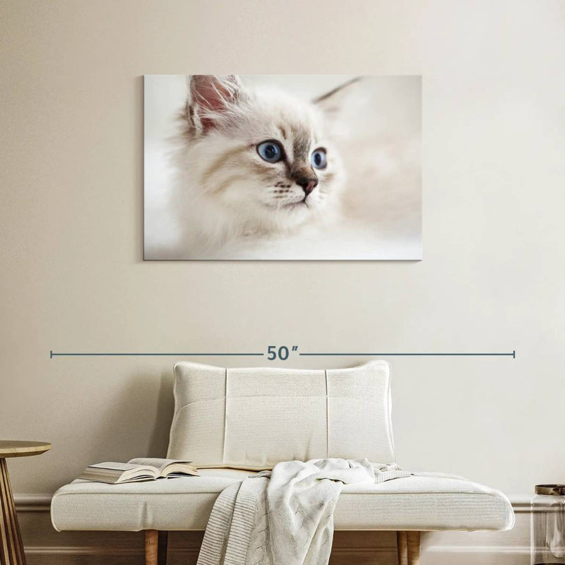 Brampt Neva Masquerade Cat, 24" H x 36" W