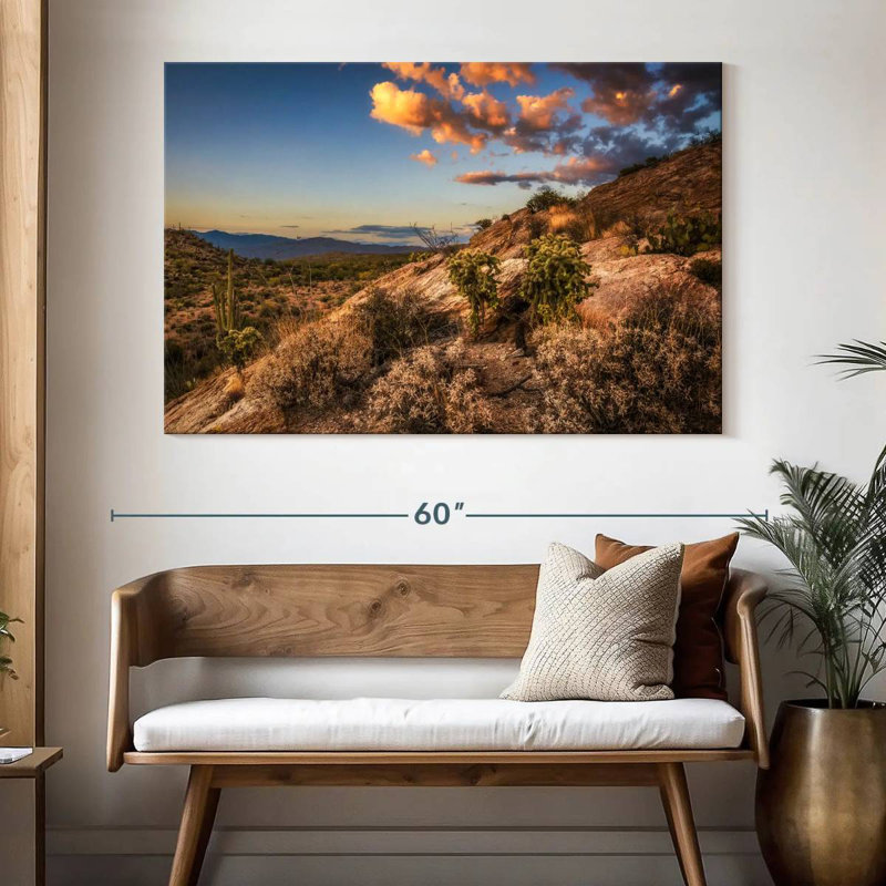 Désert de cactus Alvord Saguaro Park, H 34 po x l 51 po