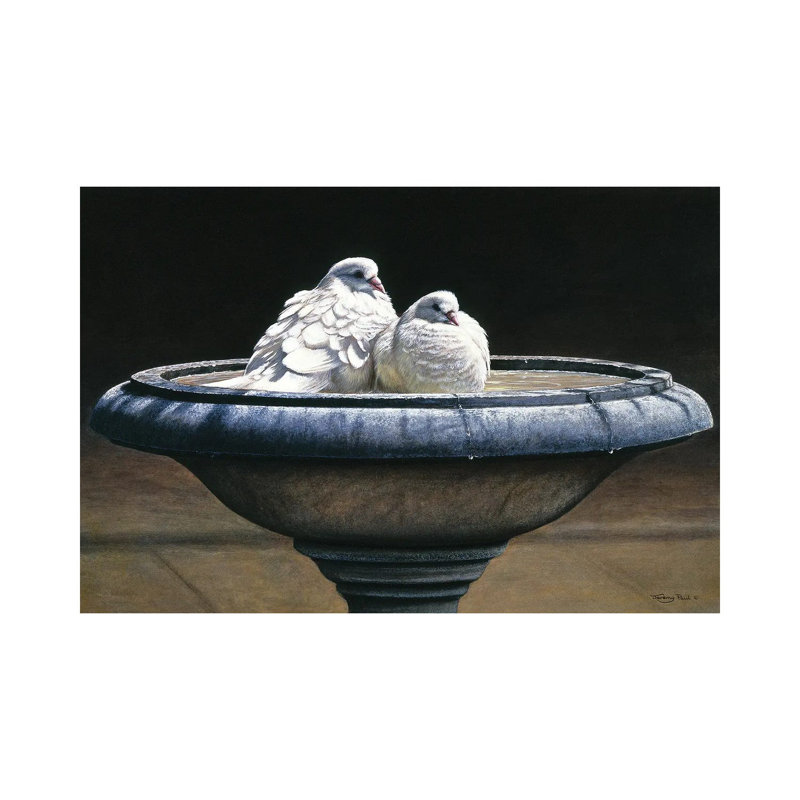 «Bird Bath» par Jeremy Paul - Giclée sur toile tendue avec châssis, H 26 po x l 40 po x P 1,5 po