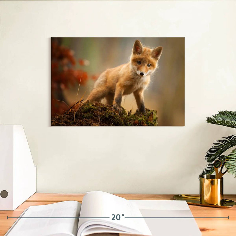 Brampt bébé forêt renard, H 8 po x l 12 po