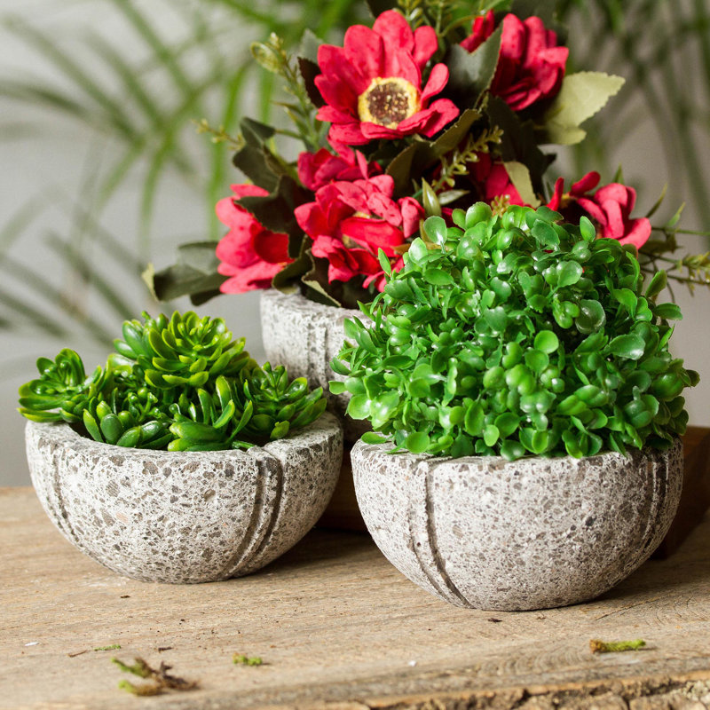 Pot Planter