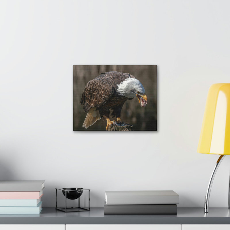 No Frame Print on Canvas, 30.48cm H x 45.72cm W