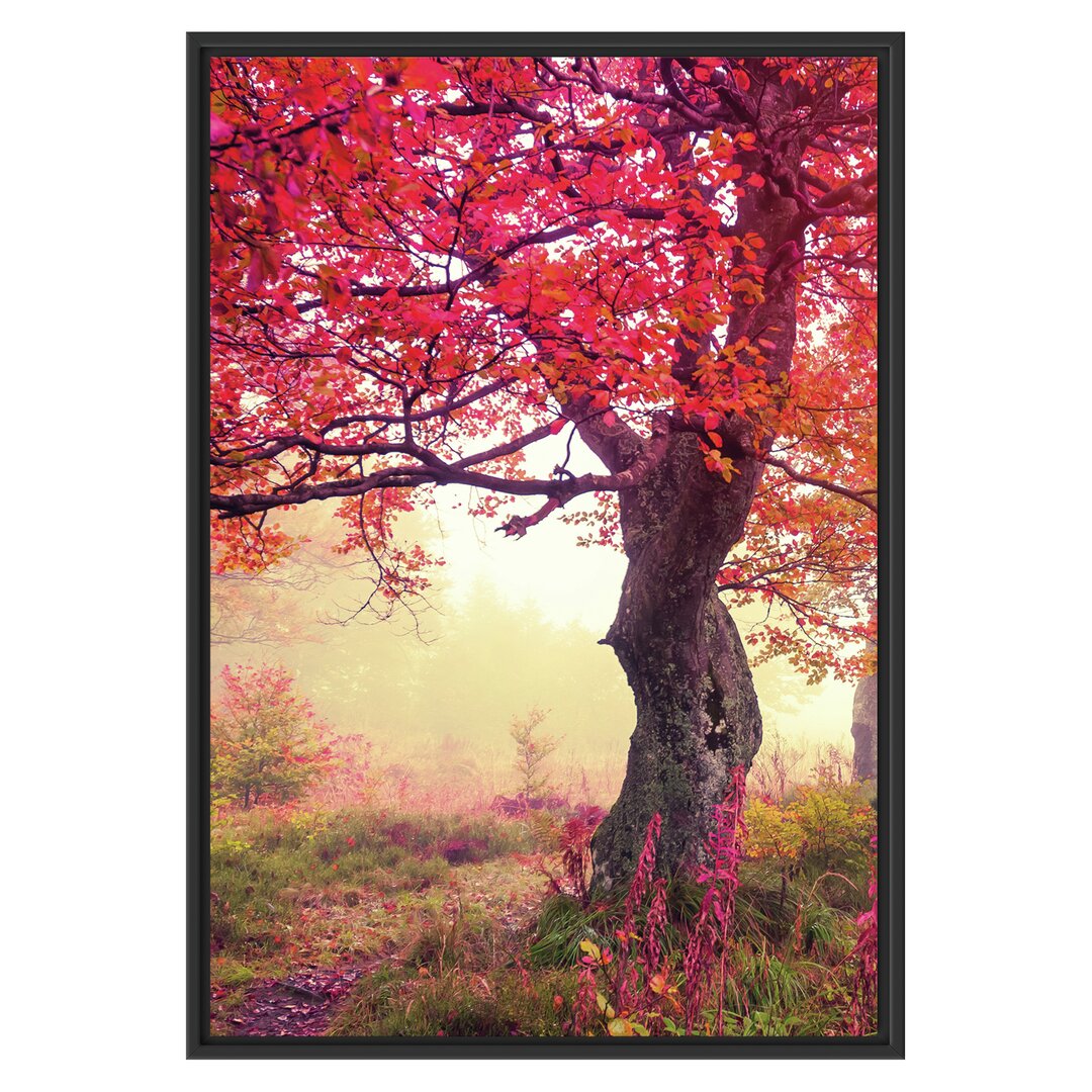 Gerahmtes Wandbild Traumhafte Herbstlandschaft