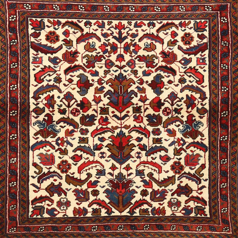 Cathryne Oriental Indoor Rug, Square 4'