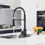 Blue Elephant Pull Down Kitchen Faucet-1325887835