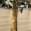 130cm Faux Ficus Tree in Cement Pot