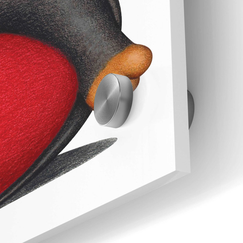 Teckel noir sur coussin rouge sur imprimé plastique / acrylique, H 24 po x l 48 po x P 0,2 po
