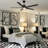 60'' Ceiling Fan with LED Lights-102062361