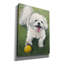 «Dogs Shichon» par Lindsay Kivi, art mural sur toile-185710825
