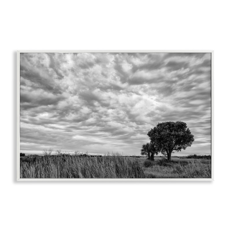 «The Right Tree Cloudscape», estampe numérique, conception de Jon Evan, H 12 po x l 18 po